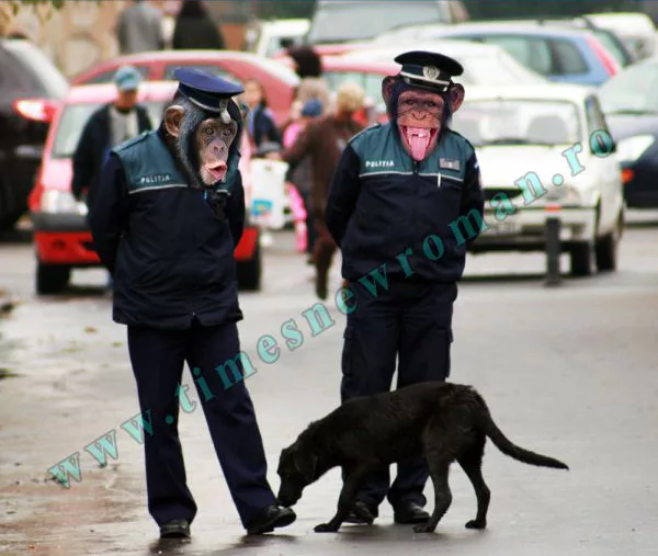politistii sunt niste maimute - Trucaje foto &#8211; portofoliu - FotoFixer