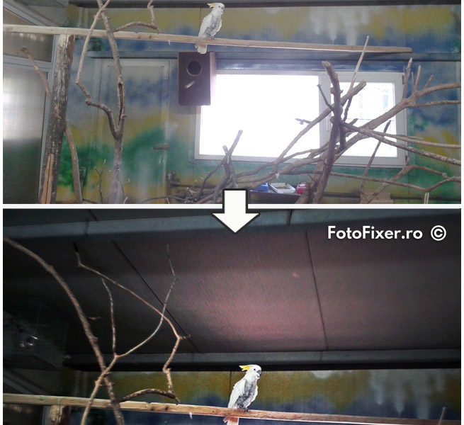 exemple retusare foto digitale - retusare poze